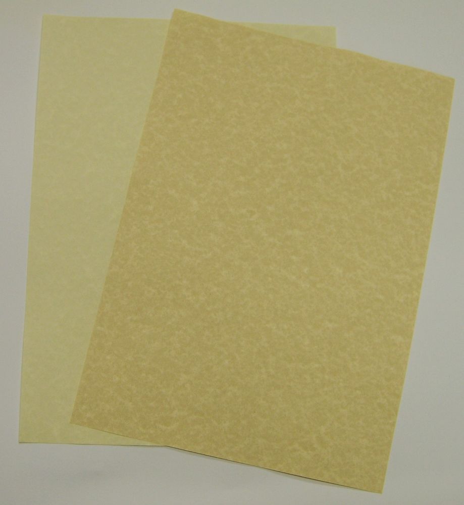 Butter Paper